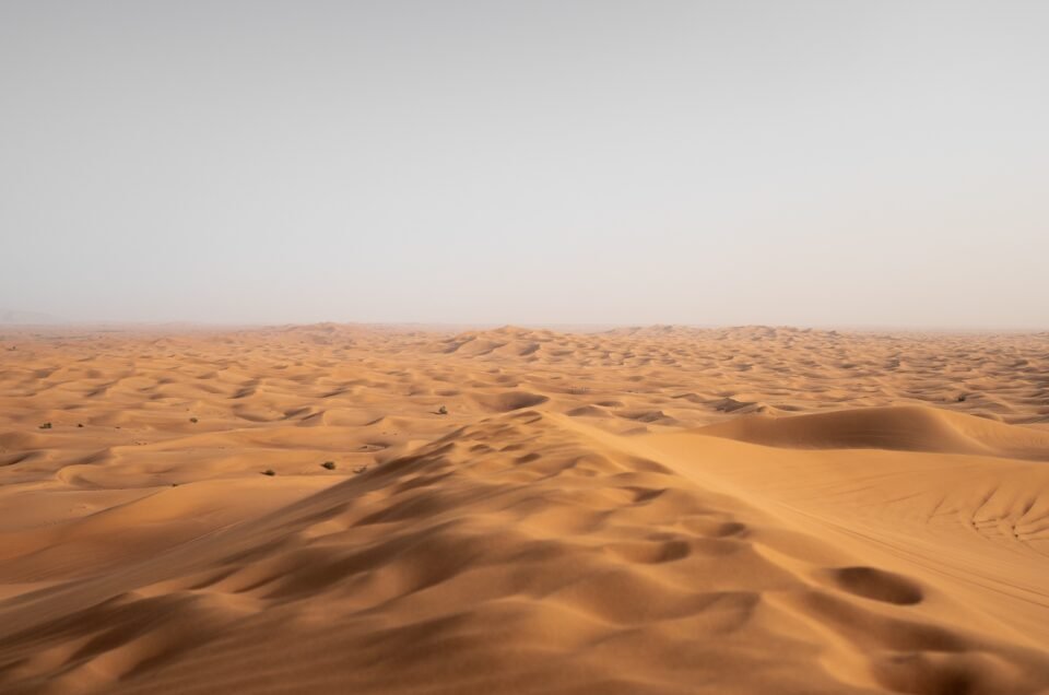 Must-Try Activities on Your Next Dubai Desert Safari