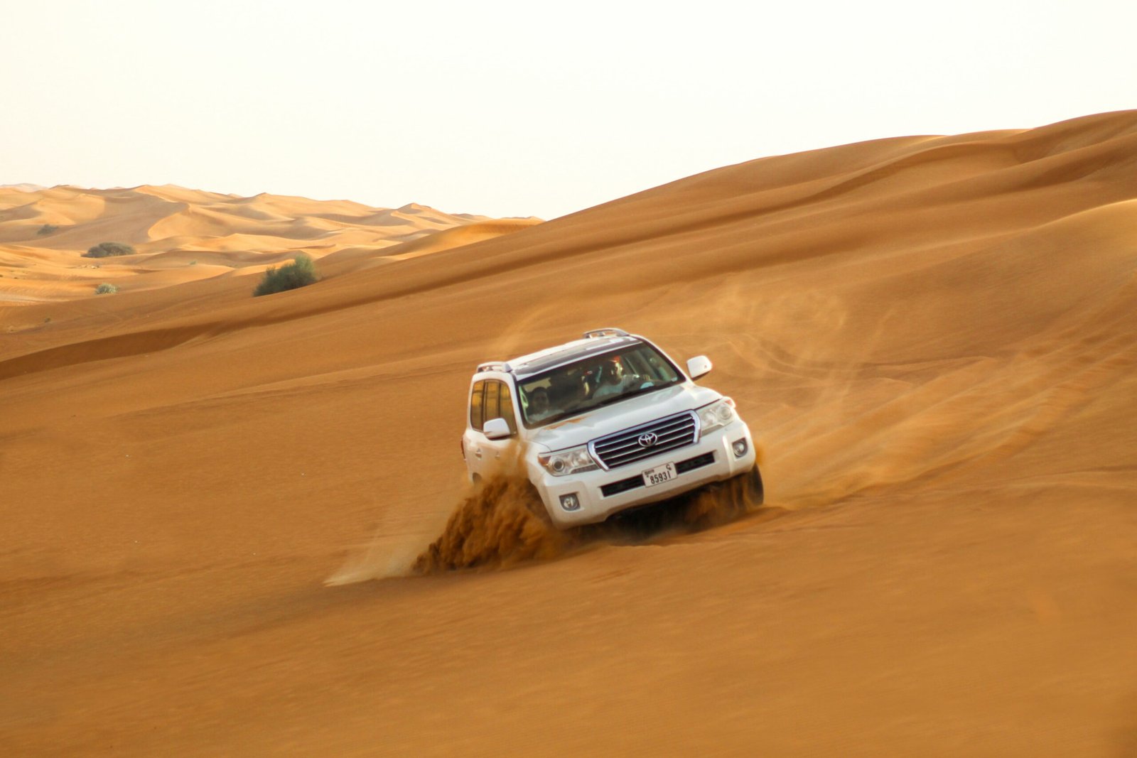 Desert Safari Dubai: Exploring the Cost and Experiences
