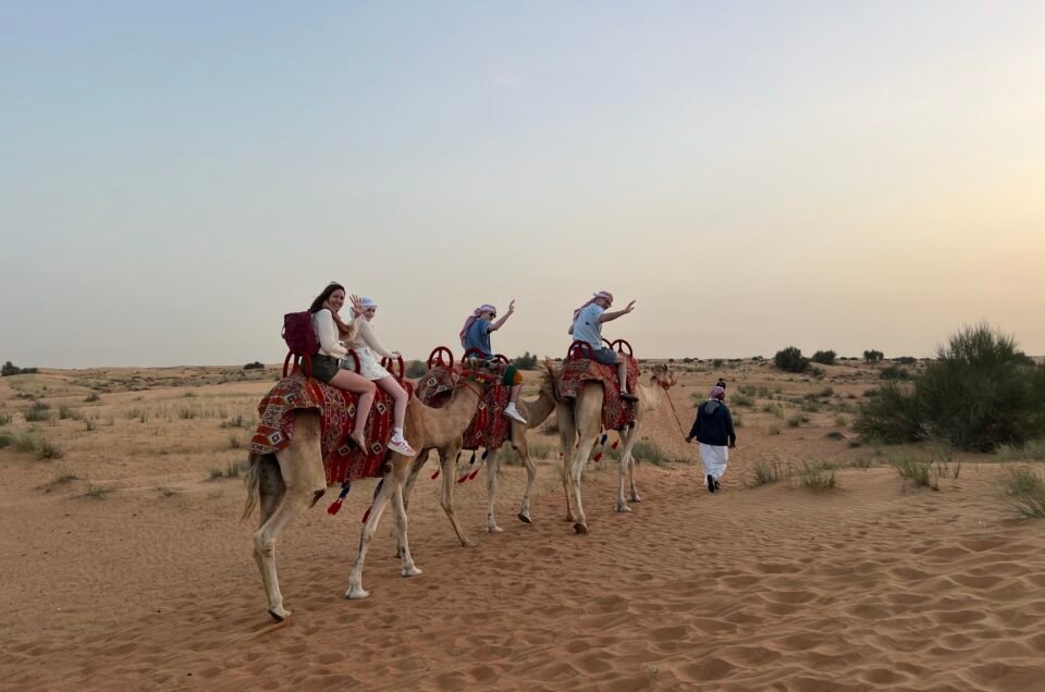 Why Arabian Luxury Tours Desert Safaris Are Different