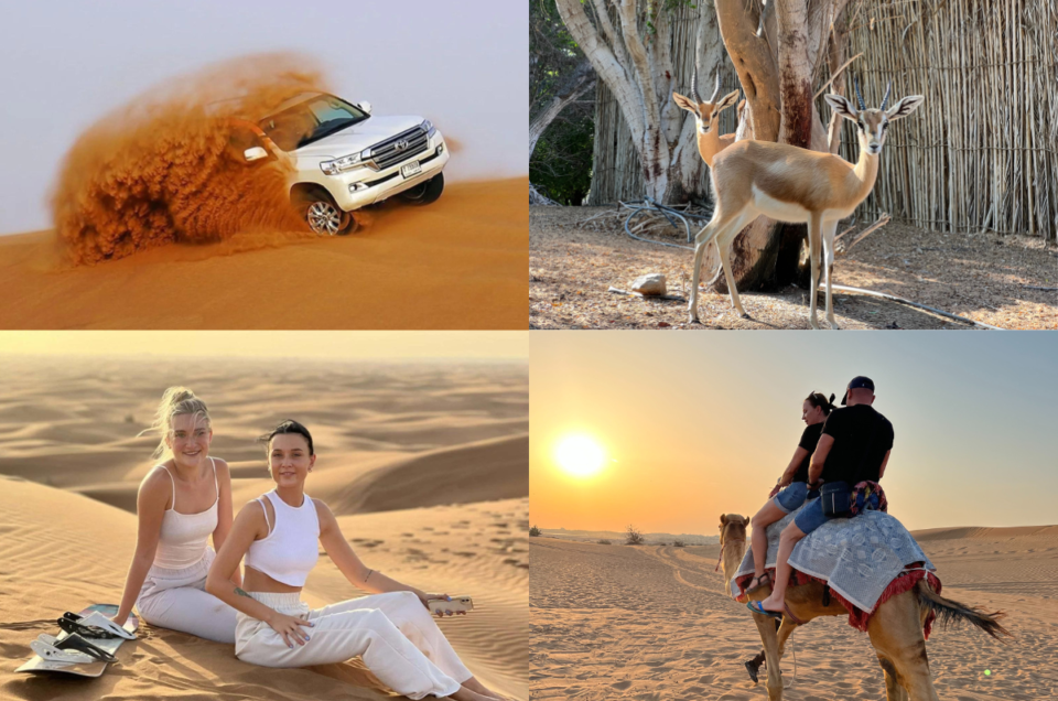 5 Must-Do Activities on a Desert Safari in Dubai