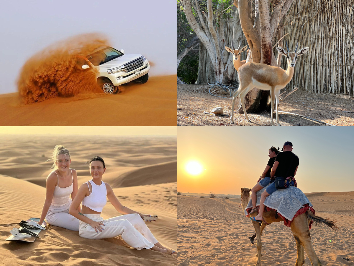 luxury desert safari