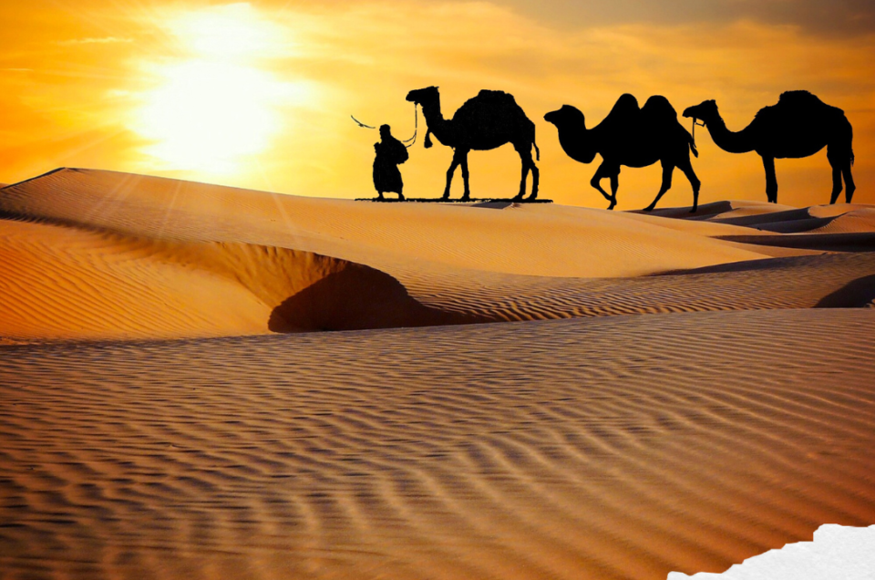 Exclusive Desert Safari Deals in Dubai